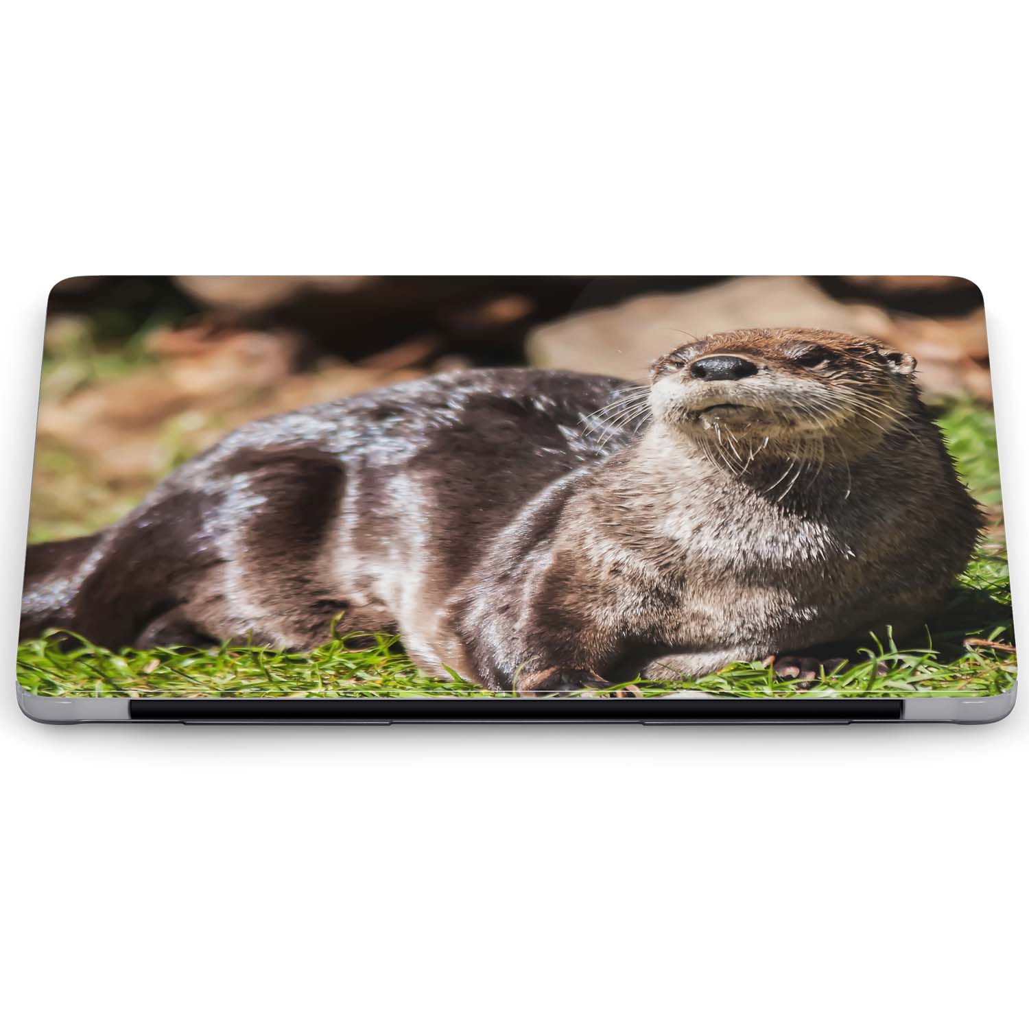 Azzumo Otter Animal Hard Shell Case Cover For the Apple Macbook eBay